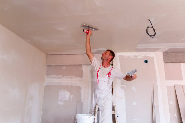 Best Wallpaper Removal and Painting  in Preakness, NJ